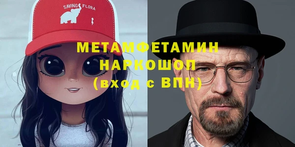 прущие грибы Абаза