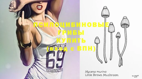 ПСИЛОЦИБИНОВЫЕ ГРИБЫ Абинск