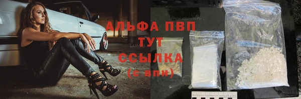 прущие грибы Абаза