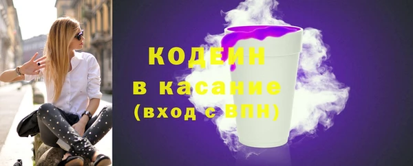 прущие грибы Абаза