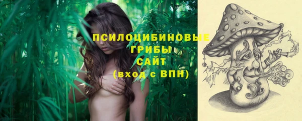 прущие грибы Абаза