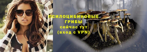 ПСИЛОЦИБИНОВЫЕ ГРИБЫ Абинск