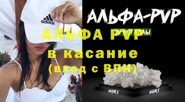 прущие грибы Абаза