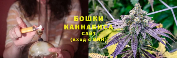 прущие грибы Абаза
